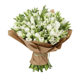 dct-f-product-8-300x300