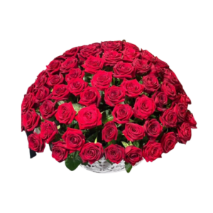 100 RED ROSE BASKET