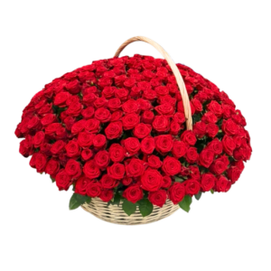 200 RED ROSE BASKET