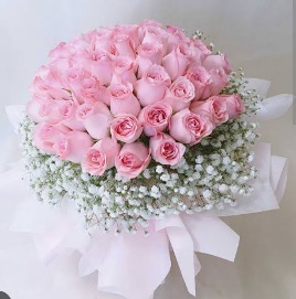 50 Pink Roses