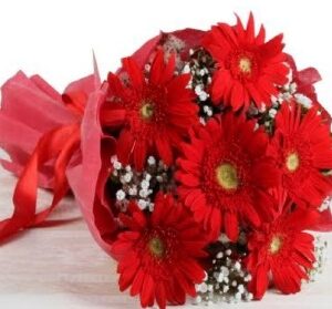 Red Gerbera