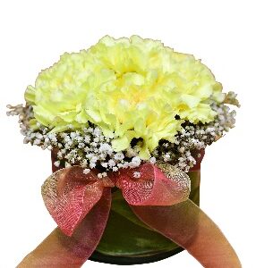 Yellow Carnation